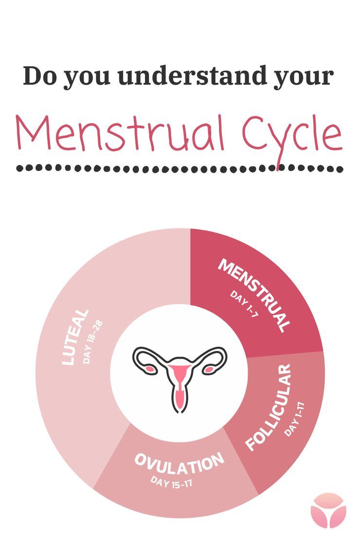 Understanding Your Cycle